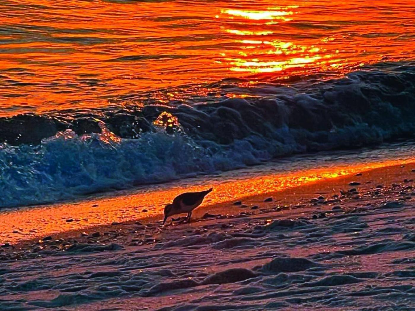 Aparthotel Goin Coastal Emerald Unit 729 Panama City Beach